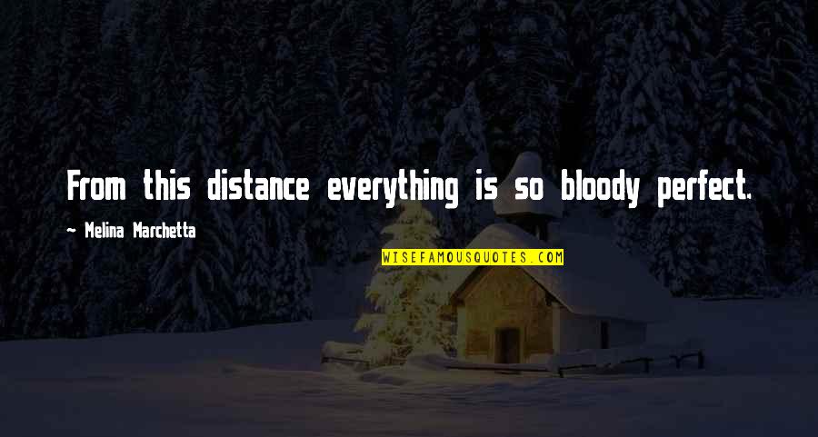 Certeza Quotes By Melina Marchetta: From this distance everything is so bloody perfect.