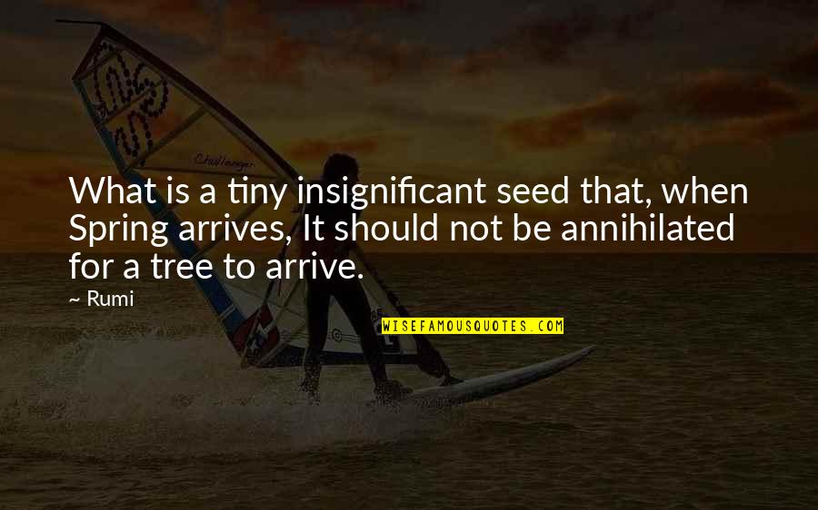 Certified Family Quotes By Rumi: What is a tiny insignificant seed that, when