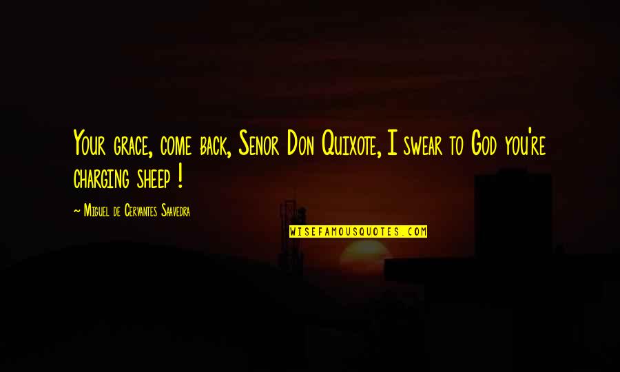 Cervantes Don Quixote Quotes By Miguel De Cervantes Saavedra: Your grace, come back, Senor Don Quixote, I