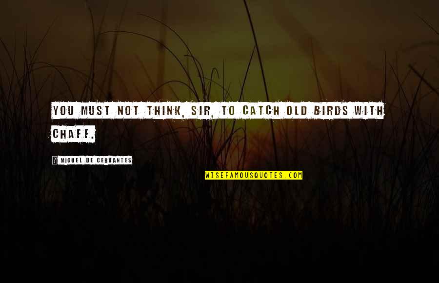Cervantes Quotes By Miguel De Cervantes: You must not think, sir, to catch old