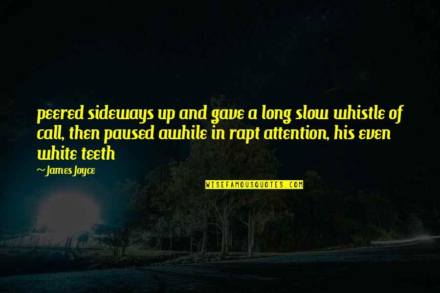 Cervical Cancer Quotes By James Joyce: peered sideways up and gave a long slow