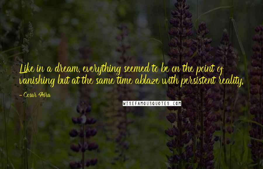 Cesar Aira quotes: Like in a dream, everything seemed to be on the point of vanishing but at the same time ablaze with persistent reality.