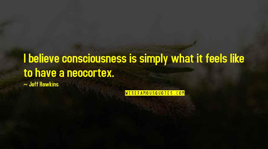 Cesar Chavez Activist Quotes By Jeff Hawkins: I believe consciousness is simply what it feels