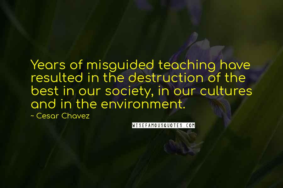 Cesar Chavez quotes: Years of misguided teaching have resulted in the destruction of the best in our society, in our cultures and in the environment. Cesar Chavez quotes: Years of misguided teaching have resulted in the destruction of the best in our society, in our cultures and in the environment.