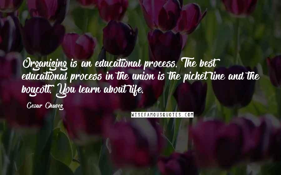 Cesar Chavez quotes: Organizing is an educational process. The best educational process in the union is the picket line and the boycott. You learn about life.