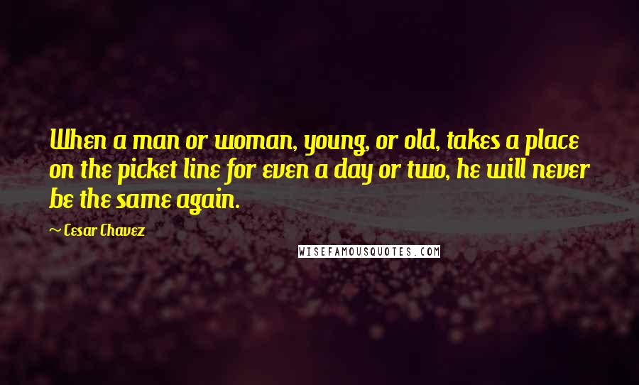 Cesar Chavez quotes: When a man or woman, young, or old, takes a place on the picket line for even a day or two, he will never be the same again. Cesar Chavez quotes: When a man or woman, young, or old, takes a place on the picket line for even a day or two, he will never be the same again.