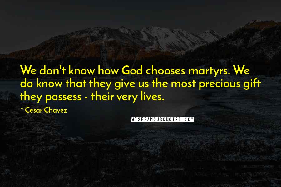 Cesar Chavez quotes: We don't know how God chooses martyrs. We do know that they give us the most precious gift they possess - their very lives. Cesar Chavez quotes: We don't know how God chooses martyrs. We do know that they give us the most precious gift they possess - their very lives.