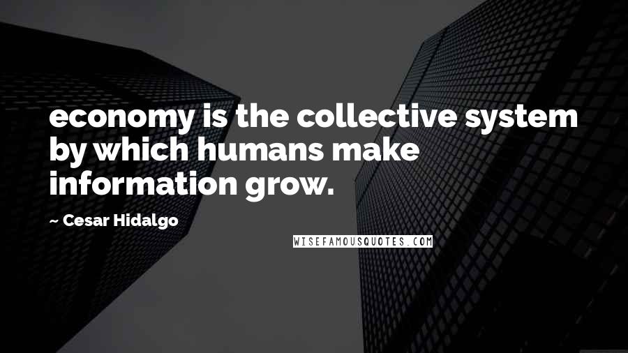 Cesar Hidalgo quotes: economy is the collective system by which humans make information grow.