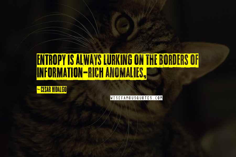 Cesar Hidalgo quotes: entropy is always lurking on the borders of information-rich anomalies,