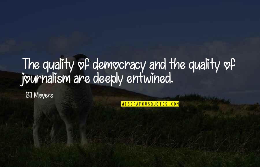 Cesar Mann Quotes By Bill Moyers: The quality of democracy and the quality of