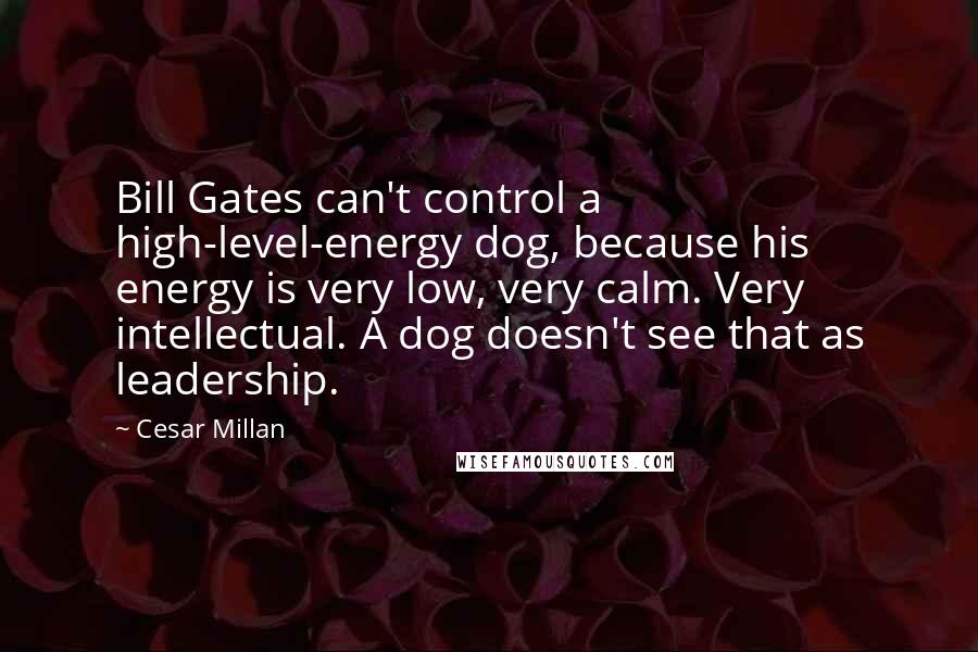 Cesar Millan quotes: Bill Gates can't control a high-level-energy dog, because his energy is very low, very calm. Very intellectual. A dog doesn't see that as leadership.
