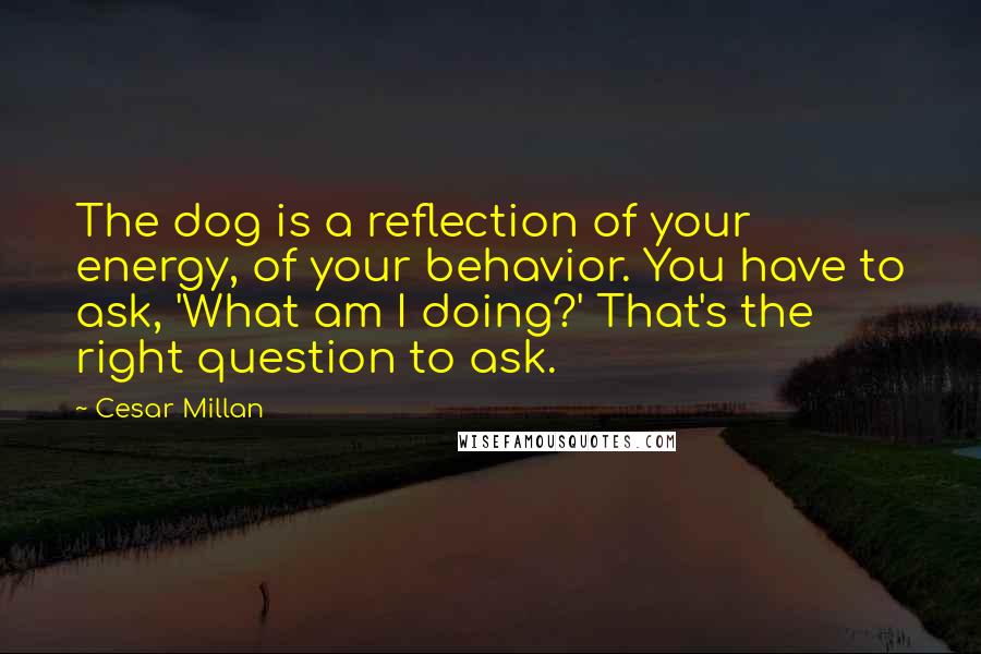 Cesar Millan quotes: The dog is a reflection of your energy, of your behavior. You have to ask, 'What am I doing?' That's the right question to ask.