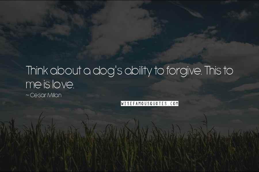 Cesar Millan quotes: Think about a dog's ability to forgive. This to me is love.