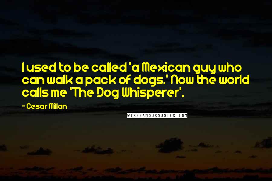 Cesar Millan quotes: I used to be called 'a Mexican guy who can walk a pack of dogs.' Now the world calls me 'The Dog Whisperer'.