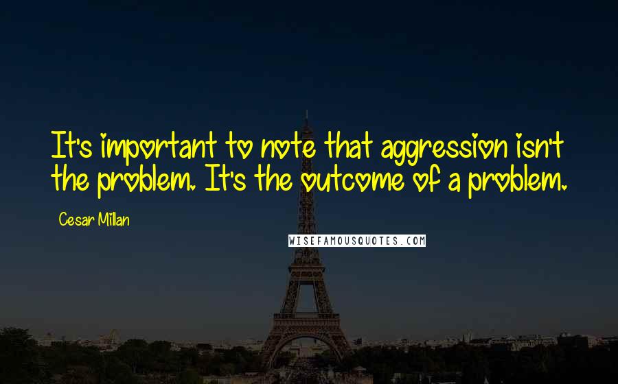 Cesar Millan quotes: It's important to note that aggression isn't the problem. It's the outcome of a problem.