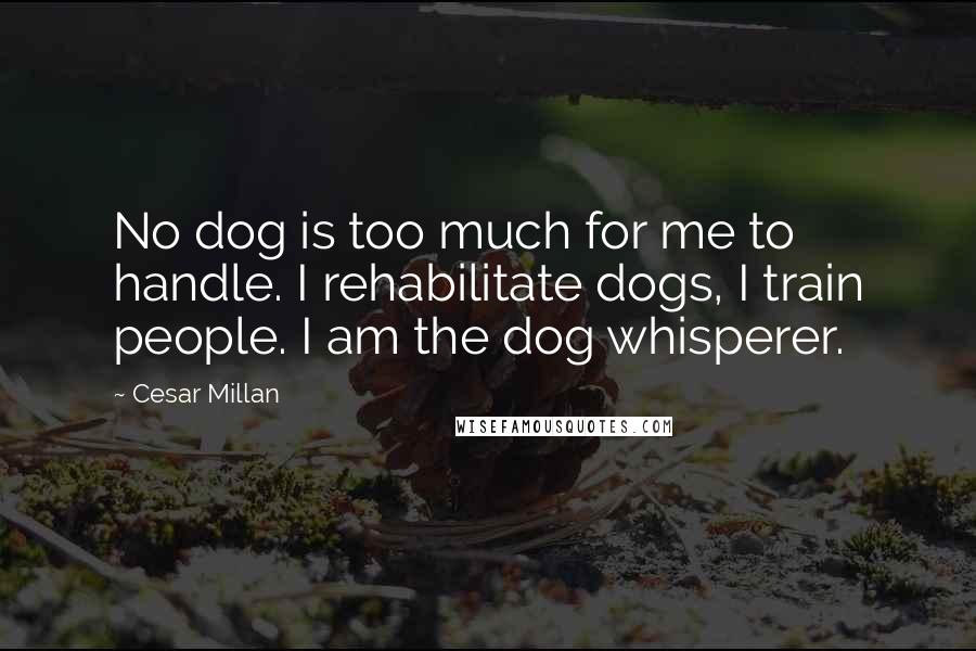 Cesar Millan quotes: No dog is too much for me to handle. I rehabilitate dogs, I train people. I am the dog whisperer.