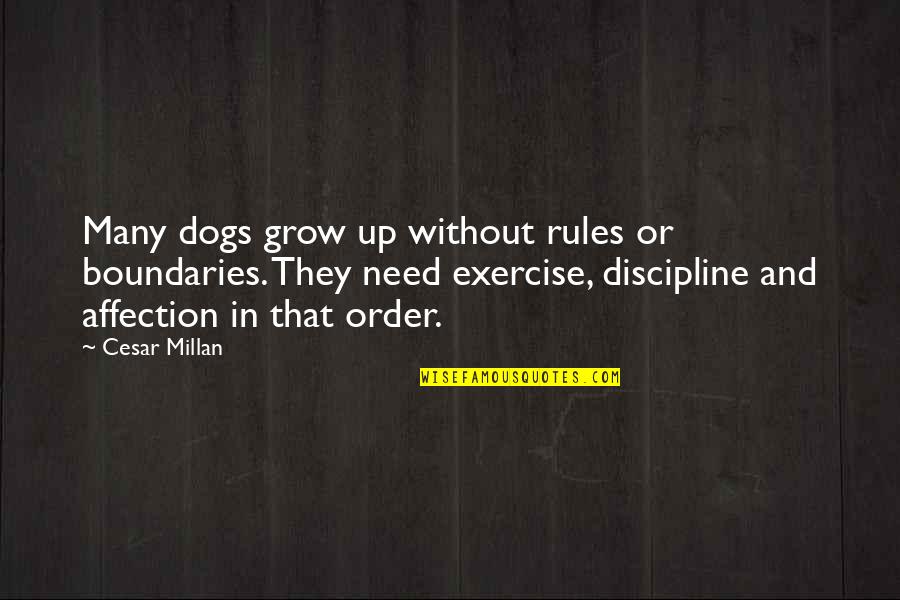 Cesar Millan Quotes By Cesar Millan: Many dogs grow up without rules or boundaries.