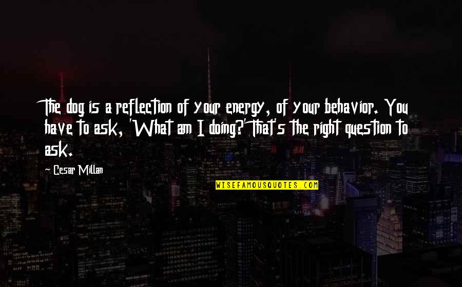 Cesar Millan Quotes By Cesar Millan: The dog is a reflection of your energy,
