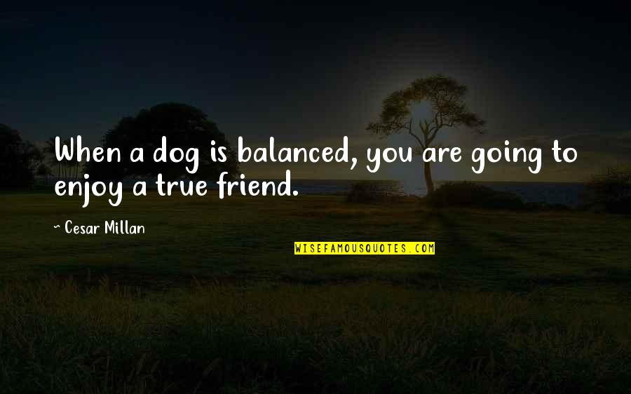 Cesar Millan Quotes By Cesar Millan: When a dog is balanced, you are going