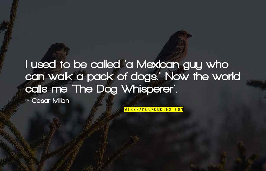 Cesar Millan Quotes By Cesar Millan: I used to be called 'a Mexican guy