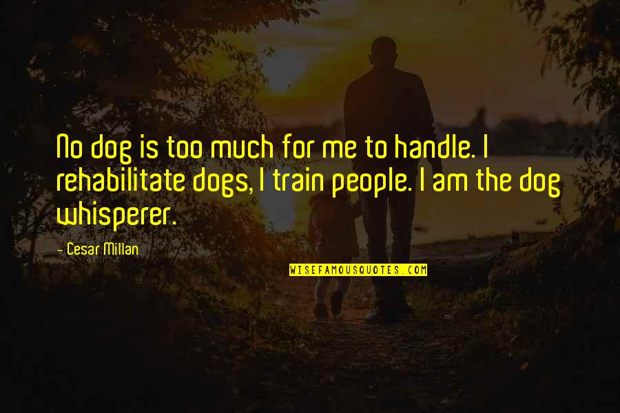 Cesar Millan Quotes By Cesar Millan: No dog is too much for me to