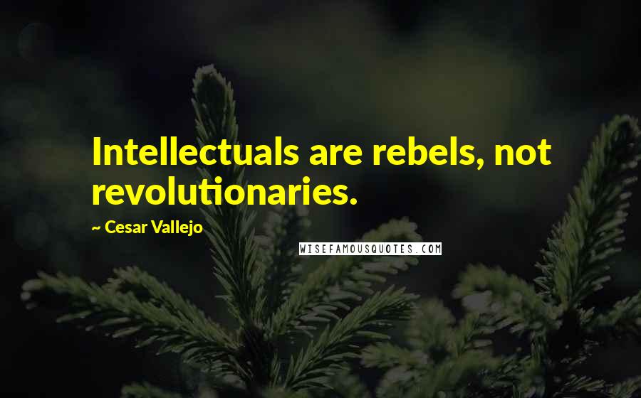 Cesar Vallejo quotes: Intellectuals are rebels, not revolutionaries.