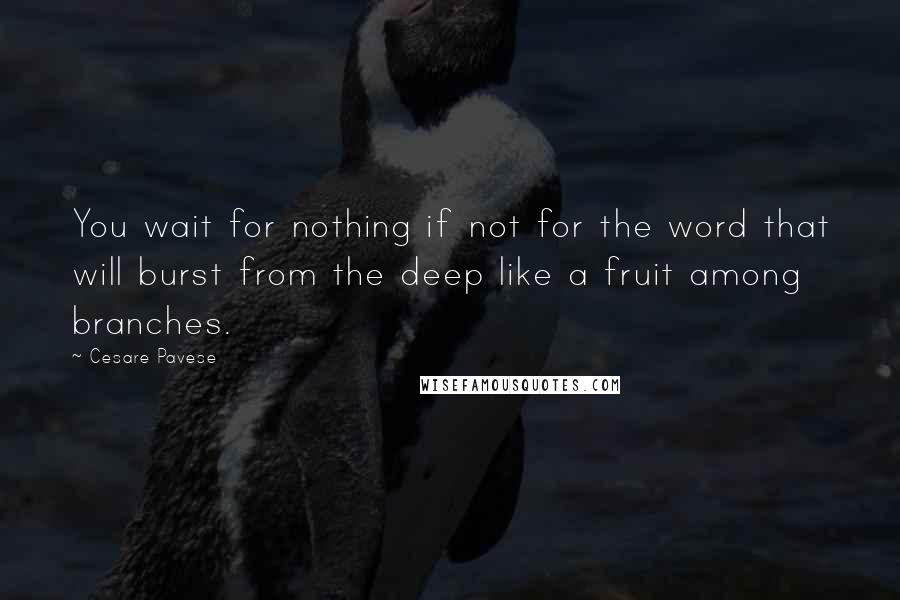 Cesare Pavese quotes: You wait for nothing if not for the word that will burst from the deep like a fruit among branches.