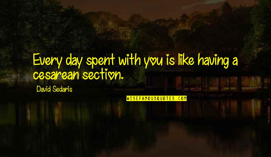 Cesarean Section Quotes By David Sedaris: Every day spent with you is like having