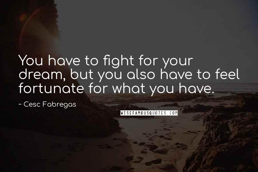 Cesc Fabregas quotes: You have to fight for your dream, but you also have to feel fortunate for what you have.