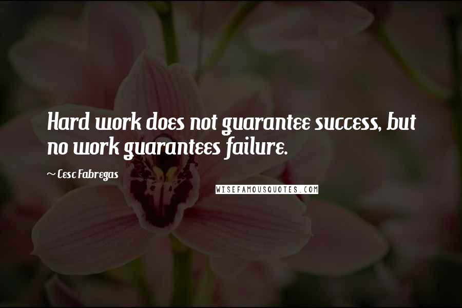 Cesc Fabregas quotes: Hard work does not guarantee success, but no work guarantees failure.