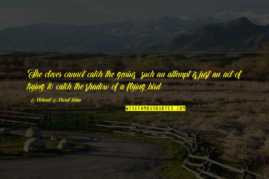 Cesspit Design Quotes By Mehmet Murat Ildan: The clever cannot catch the genius; such an