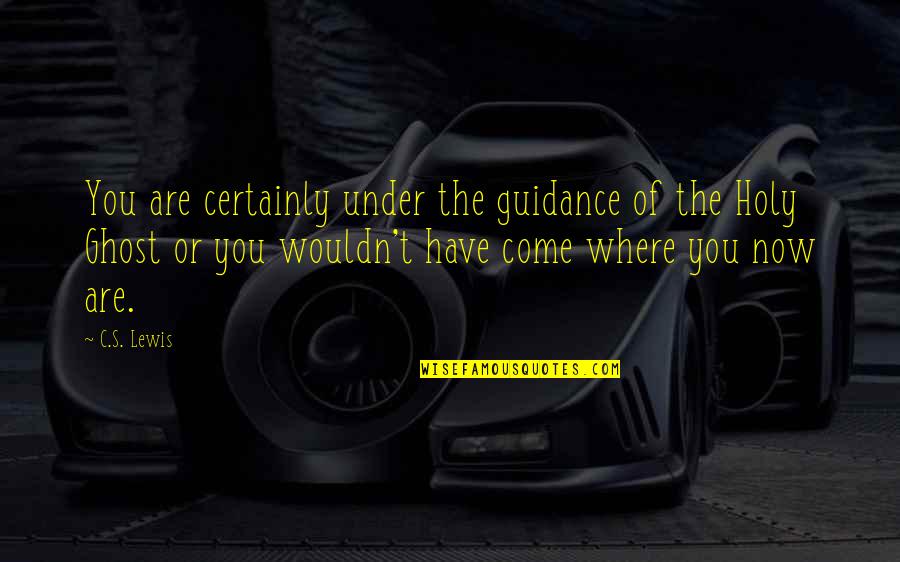 C'est Quotes By C.S. Lewis: You are certainly under the guidance of the
