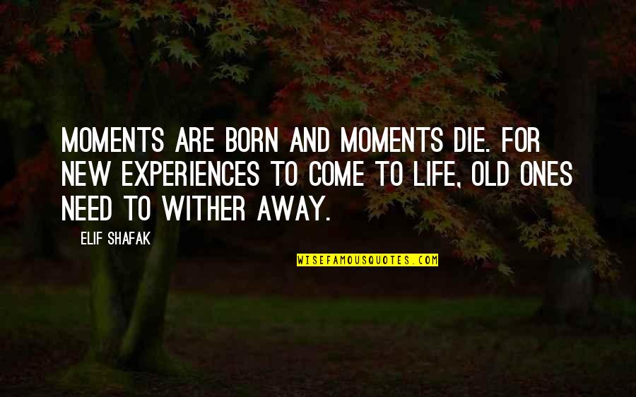 Cestou Hudba Quotes By Elif Shafak: Moments are born and moments die. For new