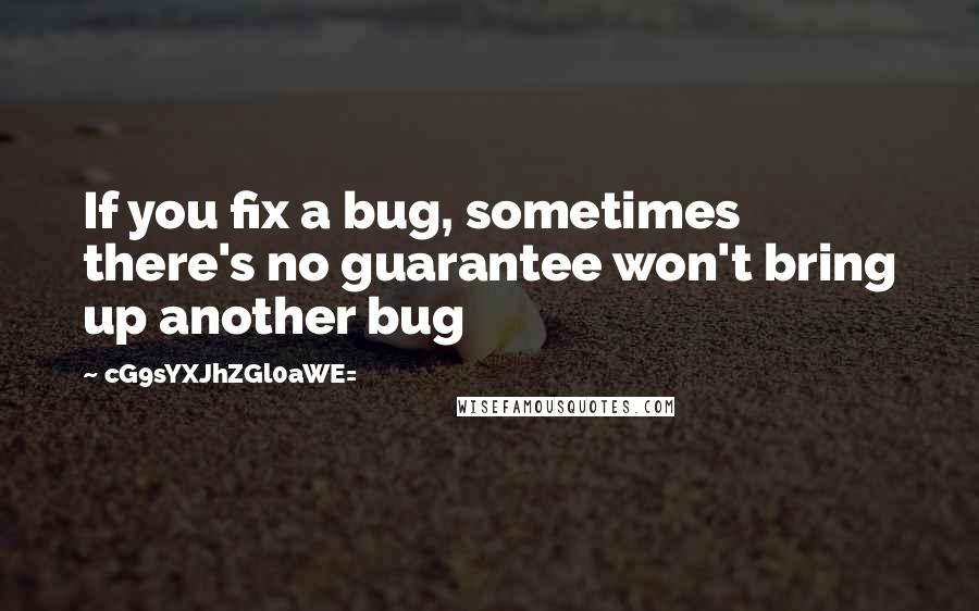 CG9sYXJhZGl0aWE= quotes: If you fix a bug, sometimes there's no guarantee won't bring up another bug