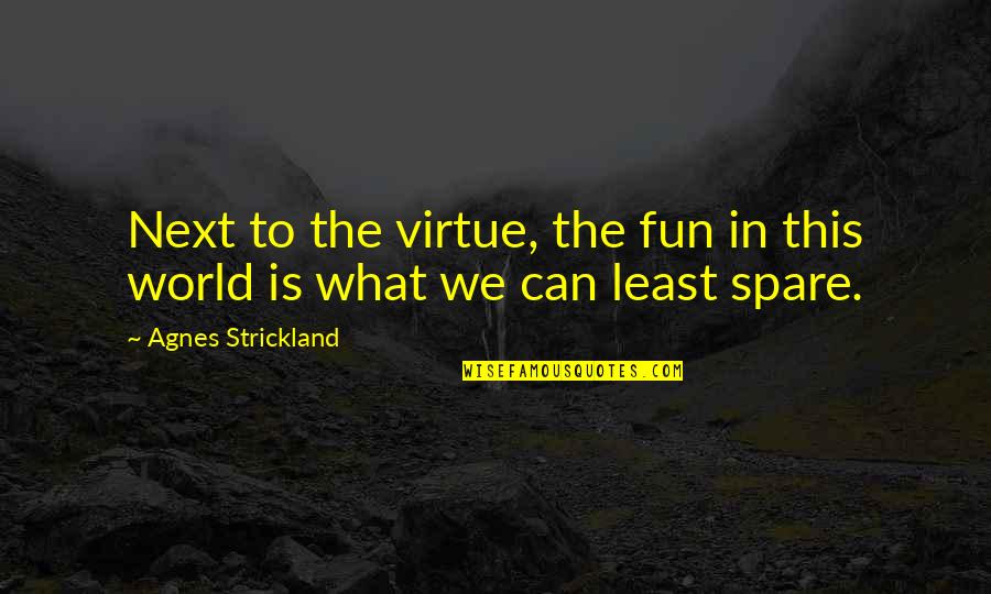 Cgod Quotes By Agnes Strickland: Next to the virtue, the fun in this