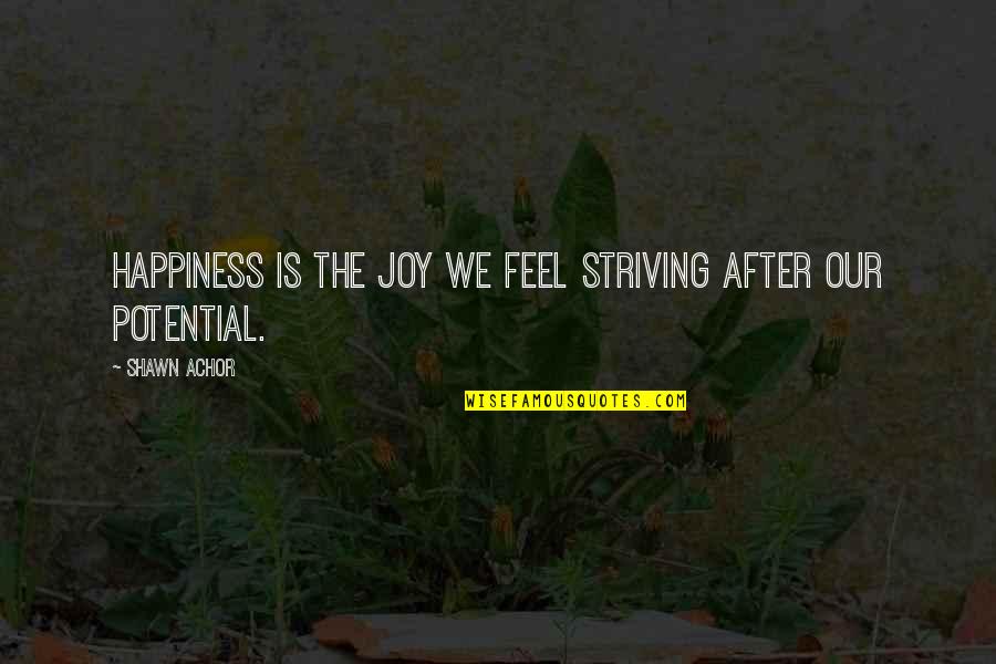 Chabradel Quotes By Shawn Achor: Happiness is the joy we feel striving after