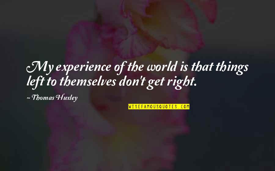 Chachu Quotes By Thomas Huxley: My experience of the world is that things