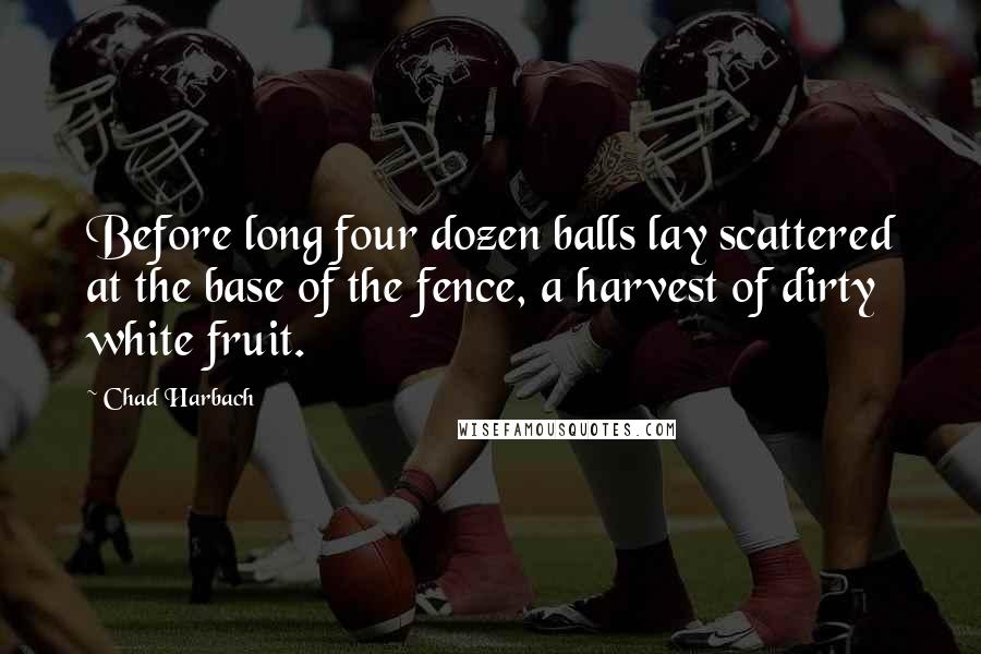 Chad Harbach quotes: Before long four dozen balls lay scattered at the base of the fence, a harvest of dirty white fruit. Chad Harbach quotes: Before long four dozen balls lay scattered at the base of the fence, a harvest of dirty white fruit.