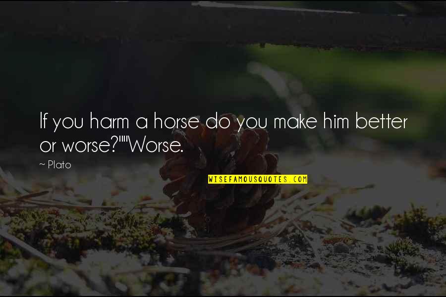 Chafarcani Quotes By Plato: If you harm a horse do you make
