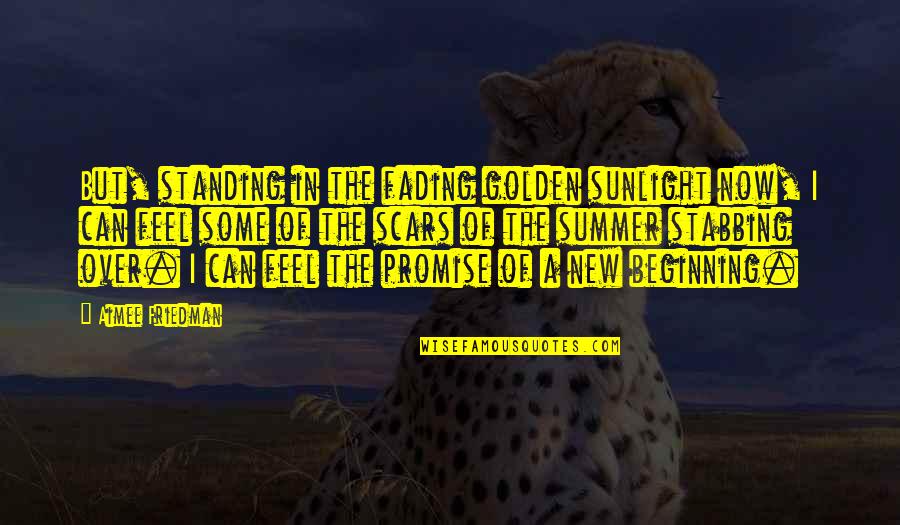 Chagatai Flag Quotes By Aimee Friedman: But, standing in the fading golden sunlight now, Chagatai Flag Quotes By Aimee Friedman: But, standing in the fading golden sunlight now,