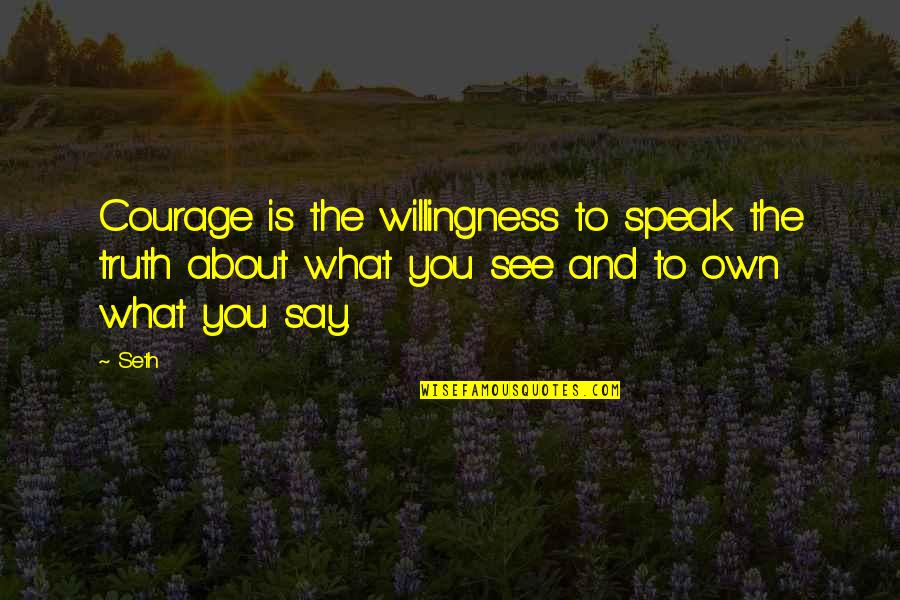 Chaidez Adan Quotes By Seth: Courage is the willingness to speak the truth