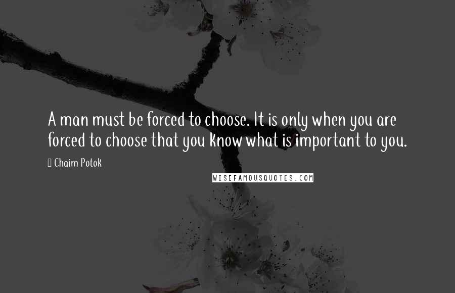 Chaim Potok quotes: A man must be forced to choose. It is only when you are forced to choose that you know what is important to you. Chaim Potok quotes: A man must be forced to choose. It is only when you are forced to choose that you know what is important to you.