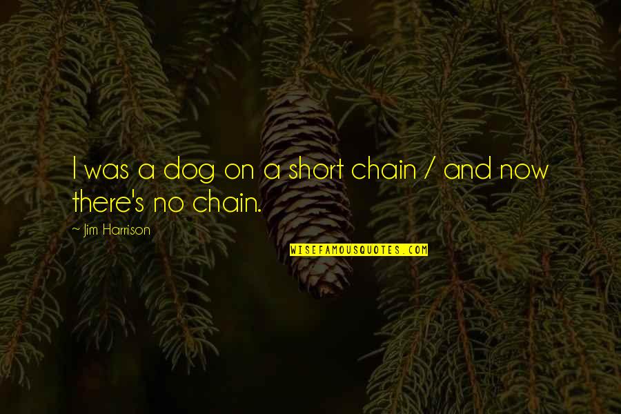 Chains And Freedom Quotes By Jim Harrison: I was a dog on a short chain