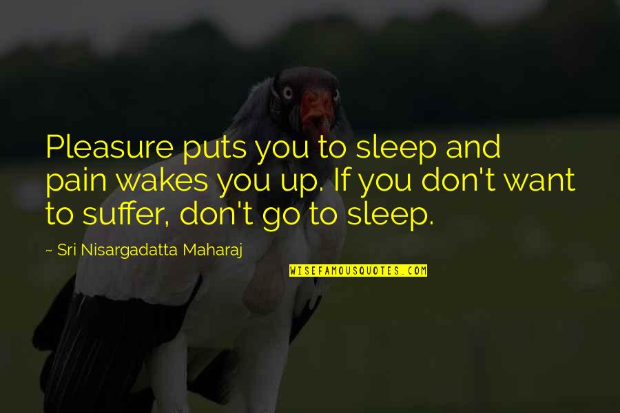 Chair Art Quotes By Sri Nisargadatta Maharaj: Pleasure puts you to sleep and pain wakes Chair Art Quotes By Sri Nisargadatta Maharaj: Pleasure puts you to sleep and pain wakes