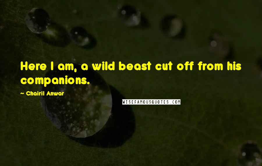 Chairil Anwar quotes: Here I am, a wild beast cut off from his companions.