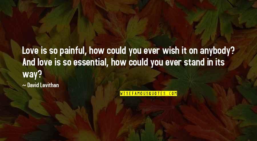 Chairil Anwar Quotes By David Levithan: Love is so painful, how could you ever