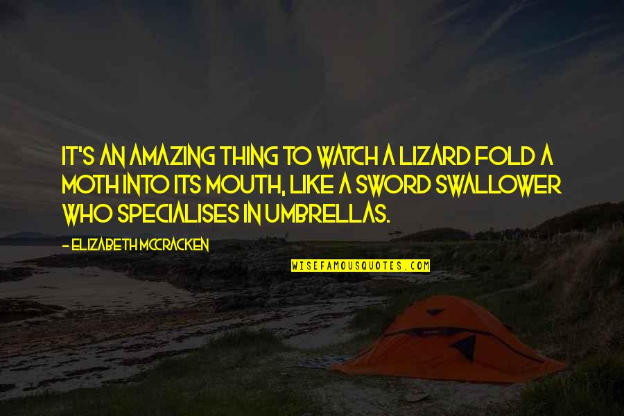Chakhram Quotes By Elizabeth McCracken: It's an amazing thing to watch a lizard Chakhram Quotes By Elizabeth McCracken: It's an amazing thing to watch a lizard