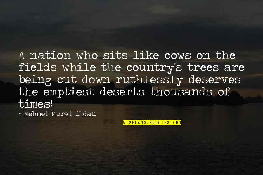 Chakra Energy Quotes By Mehmet Murat Ildan: A nation who sits like cows on the