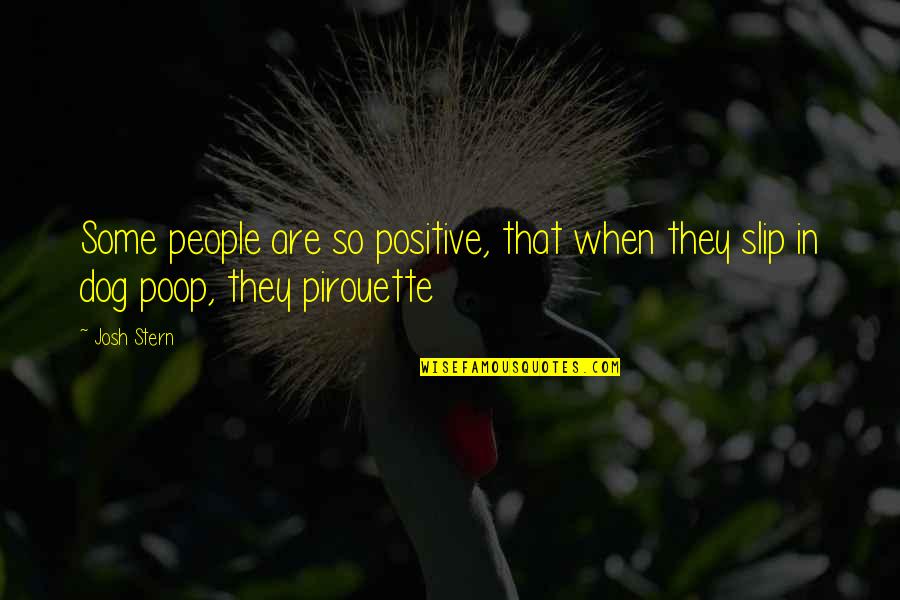 Chakrabarti Sudarsana Quotes By Josh Stern: Some people are so positive, that when they