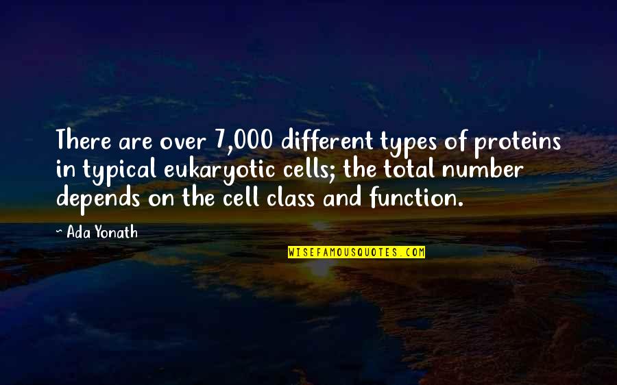 Chalaina Tagged Quotes By Ada Yonath: There are over 7,000 different types of proteins Chalaina Tagged Quotes By Ada Yonath: There are over 7,000 different types of proteins
